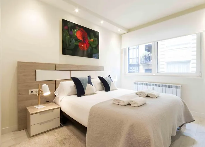 The Collection - River * San Sebastian